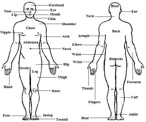 Clomid Fertility