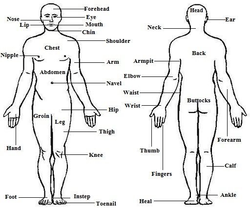 ESL Body Parts Games Activities Body Parts ESL Worksheets