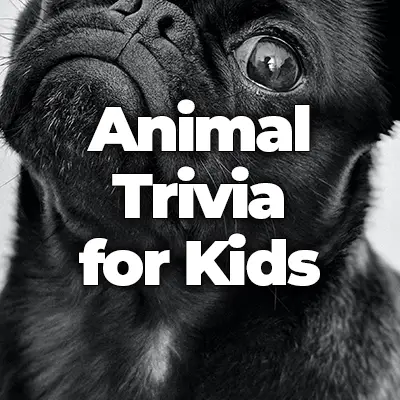 30 Animal Trivia Questions for Kids with Answers