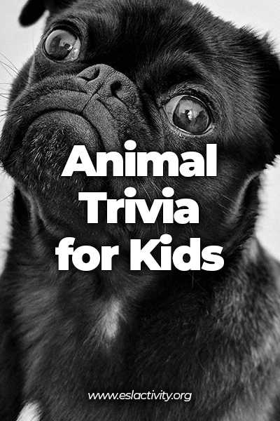 animal trivia for kids