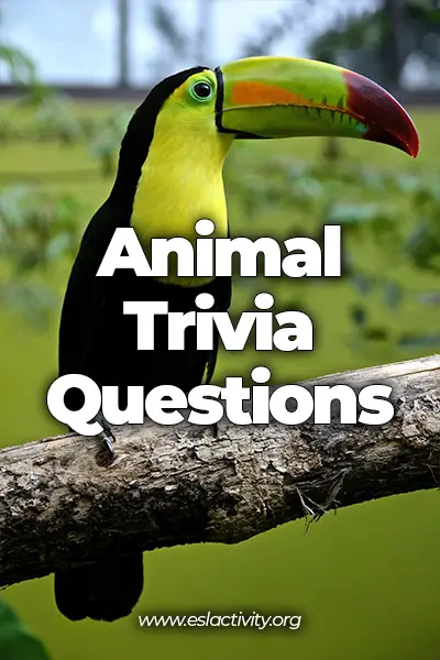 animal trivia questions