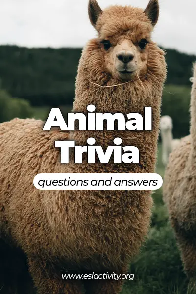 animal trivia questions and answers