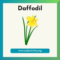 daffodil image