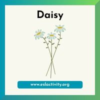 daisy image