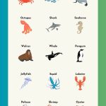 sea animal name chart