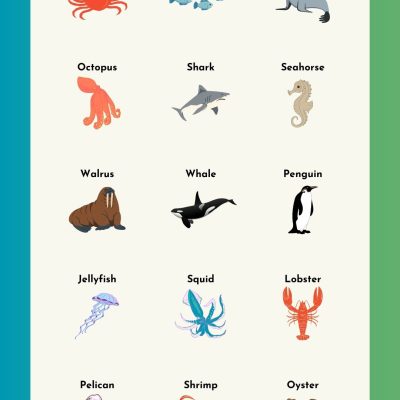 Water Animals Names in English | Sea & Aquatic Animals List