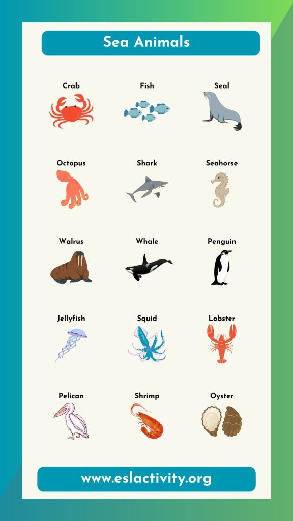 sea animal name chart