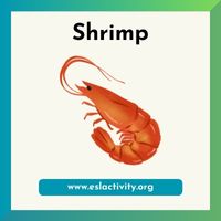 shrimp image