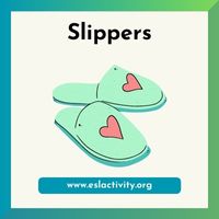 slippers image