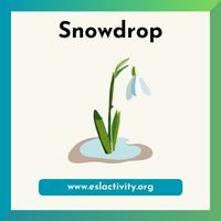 snowdrop image