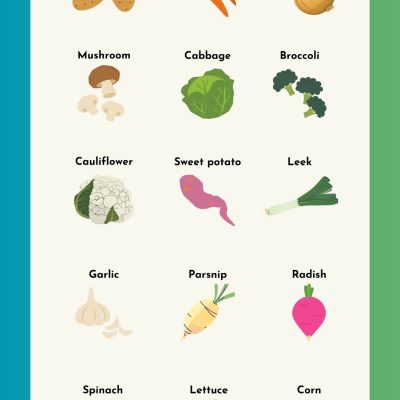 Vegetables List in English (With Pictures) | Learn Veggie Names!