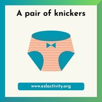 pair of knickers image