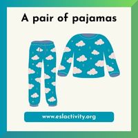 pair of pajamas image