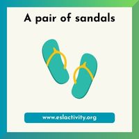 pair of sandals image