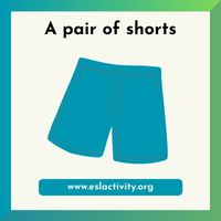 pair of shorts image