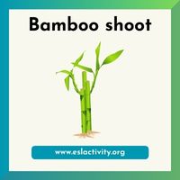 bamboo shoots pictures