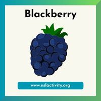 blackberry picture