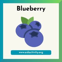 blueberry picture