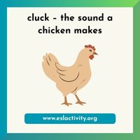 cluck chicken sound