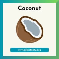 coconut picture