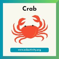 crab picture