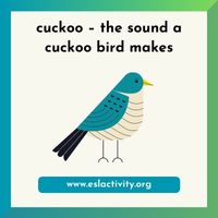 cuckoo bird sound