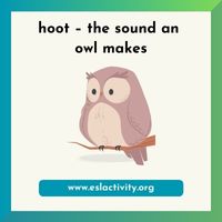 hoot owl sound