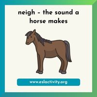 neigh horse sound