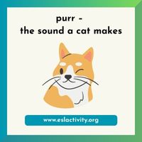 purr cat sound