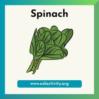 spinach picture