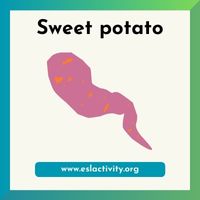 sweet potato picture