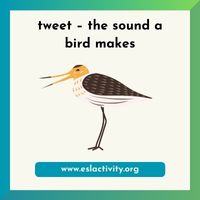 tweet bird sound