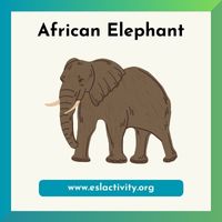 african elephant picture