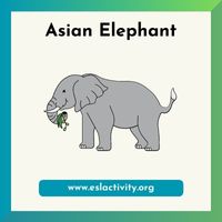 Asian elephant image