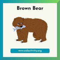 brown bear image