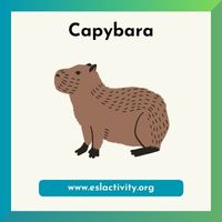 capybara picture
