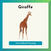 giraffe image