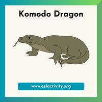 komodo dragon image