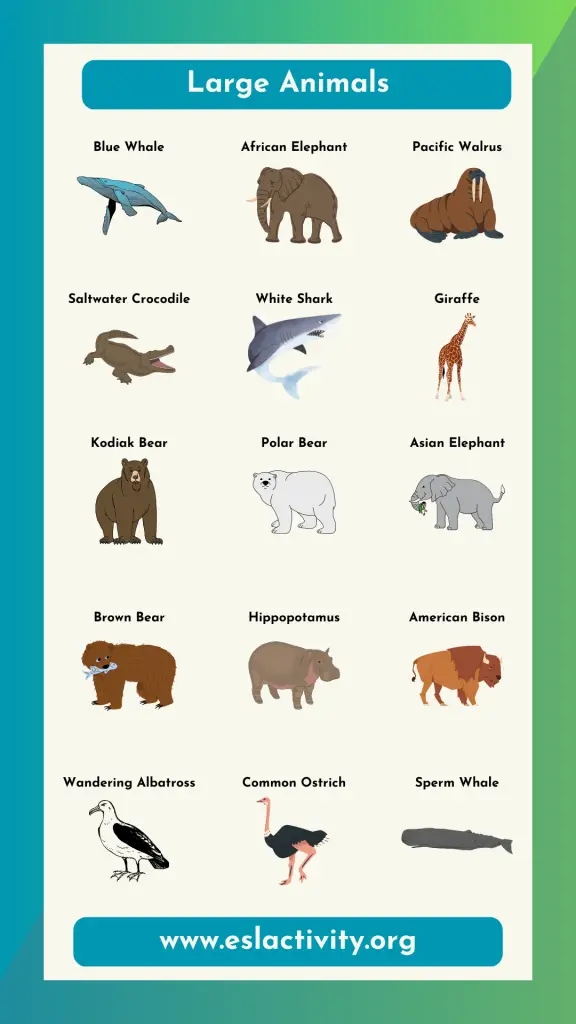 large animal names