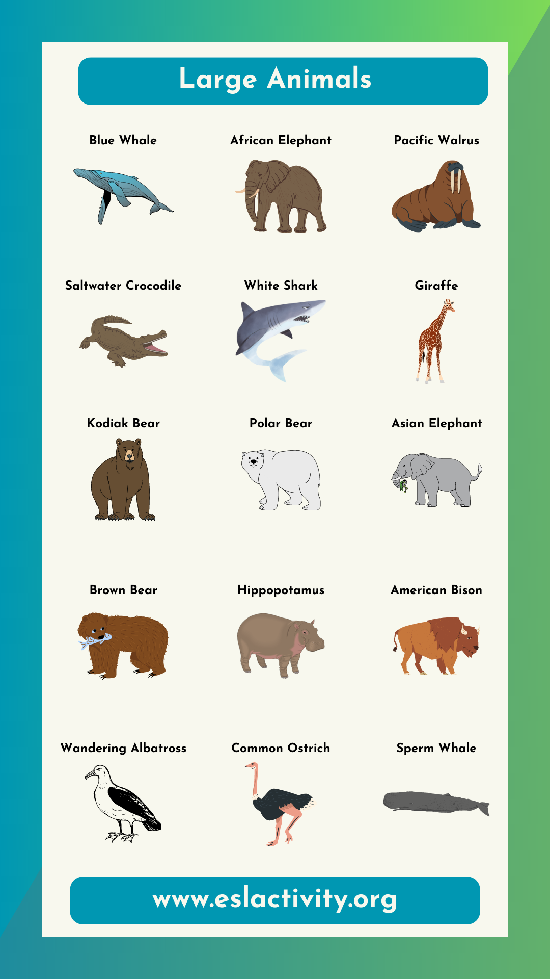 Biggest Animals in the World List | Large Animal Names in English