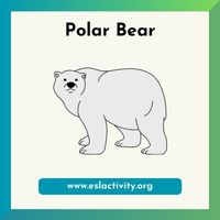 polar bear image