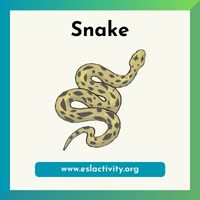 snake image