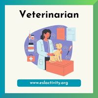 veterinarian picture