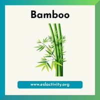 bamboo image