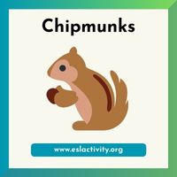 chipmunk image