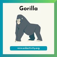 gorilla image