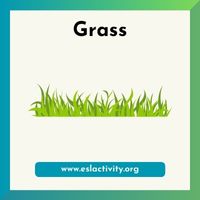 grass image