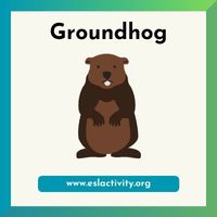 groundhog image