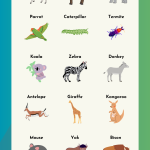 herbivores animals name chart