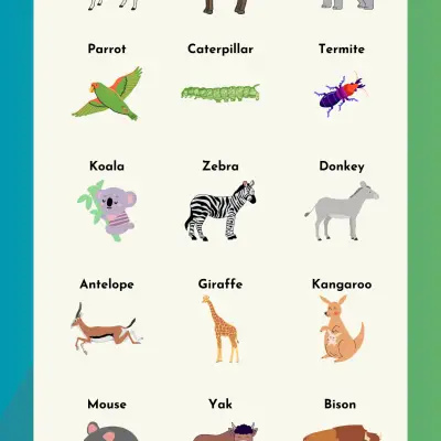 Herbivores Animals Name List in English | Herbivorous Animals